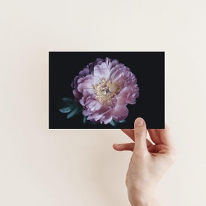 Postkarte Pfingstrose | Fotopostkarte Blumenfotografie | Geburtstagskarte | Grußkarte | Postkarte Naturmotiv | Geschenkkarte | Wanddeko