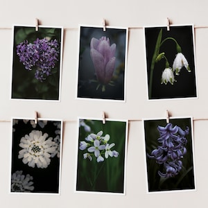 Cartes postales Ensemble de fleurs Printemps | Photographie de fleurs de carte postale photo | Carte d'anniversaire | Carte de vœux | Motif nature de la carte | Carte cadeau | décoration murale