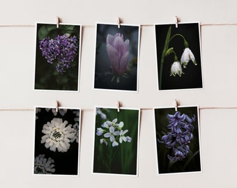 Set di fiori di cartoline Primavera | Fotografia di fiori da cartolina fotografica | Biglietto d'auguri | Biglietto d'auguri | Motivo della natura della carta | Buono regalo | Decorazione murale