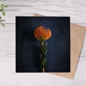 Postkarte Nadelkissen | Quadratische Fotopostkarte | Geburtstagskarte | Grußkarte | Postkarte Blumenmotiv | Geschenkkarte | Wanddeko