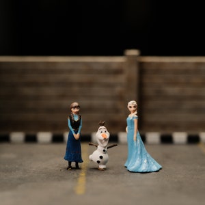 Miniatures Custom Figuren Die Eiskönigin, 3D Figur, Custom 3D Modelling, Custom Comicfigur Geschenke, Geschenk für Sie, Geschenk für Ihn