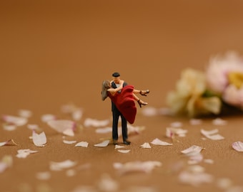 Pareja romántica en miniatura (1:87 y 1;64, escala HO) Figura personalizada hecha a mano adecuada para fotografía de juguetes, regalo, decoración o adorno para tartas.