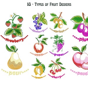Op de afbeelding: Een set van 10 borduurmotieven met verschillende soorten fruit, waaronder een aardbei, blauwe bes, abrikoos, pruim, appel, druiven, peer, citroen, kers en perzik. Elk motief is omlijnd met zwart en gevuld met levendige kleuren.