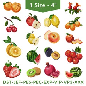 Può includere: Vari disegni ricamati di frutta, tra cui mele, ciliegie, limoni, pere, pesche, prugne, fragole, kiwi, melograni e angurie. I disegni misurano circa 10 cm.