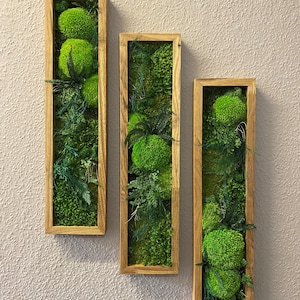 Moss picture set or individually moss wall panel solid wood oiled oak moss element 3D