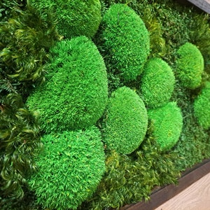 Moss picture moss wall solid wood frame oak moss landscape