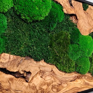 Moss picture symbiosis made to order ball moss olive wood aluminum frame noble wall art moss landscape