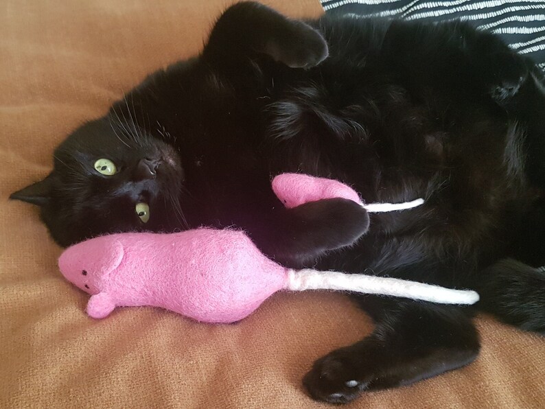 100 Wool Cat Kicker Toy Mouse Hand Felted With or Without Catnip 30cm
