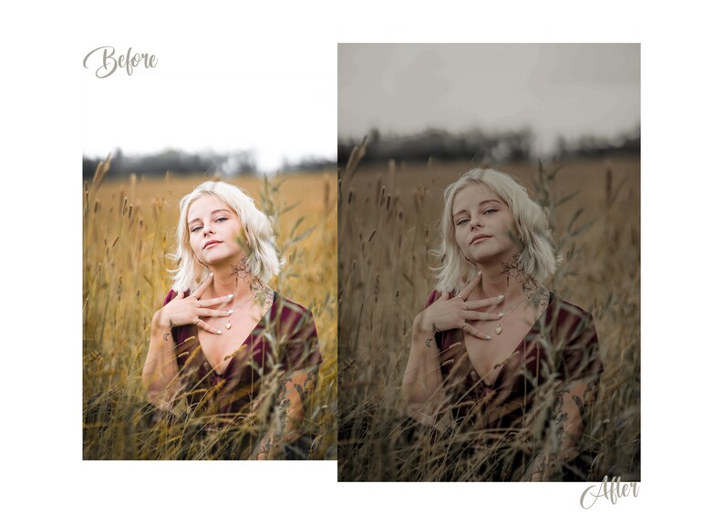 5 Lightroom Mobile & 5 Desktop Presets, Whimsical Tale, Moody Forest