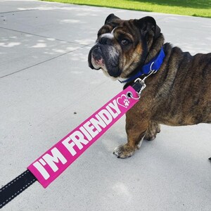 Customized Pet Leash Sleeve Cover I'M FRIENDLY (Size Large)