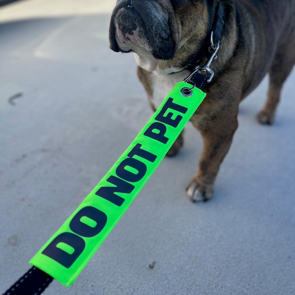Funda para correa de mascota **VERDE FLUORESCENTE** personalizada -Totalmente personalizable- ¡Tu diseño personalizado! ¡Muestra la personalidad única de tu mascota!