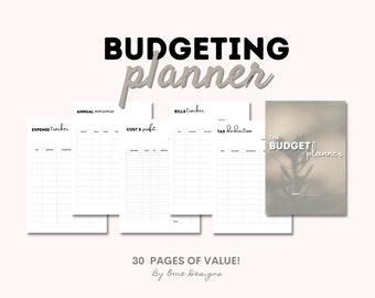 Digital Budget Planner, Finance Planner, Business Budget Planner, Printable, Budget Sheet, Beginner, Worksheets, Finance Tracker