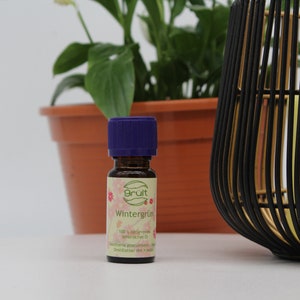 May include: A small, dark brown glass bottle with a purple cap. The bottle is labeled "Wintergr&uuml;n" and "100% naturreines &auml;therisches &Ouml;l".