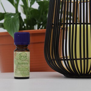 May include: A small brown glass bottle with a purple cap. The bottle is labeled "Rosmarin" and contains 100% natural rosemary essential oil. The bottle is sitting on a white surface next to a potted plant and a black and gold decorative lantern.