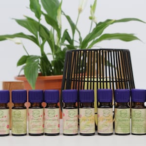 Grült 100% Natural Pure Essential Oils // Aroma Oil //Fragrance Oil