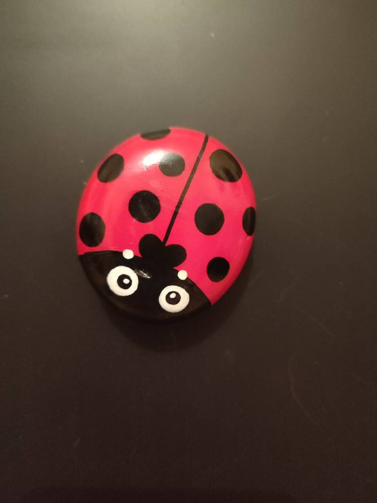 Magnet Coccinelle