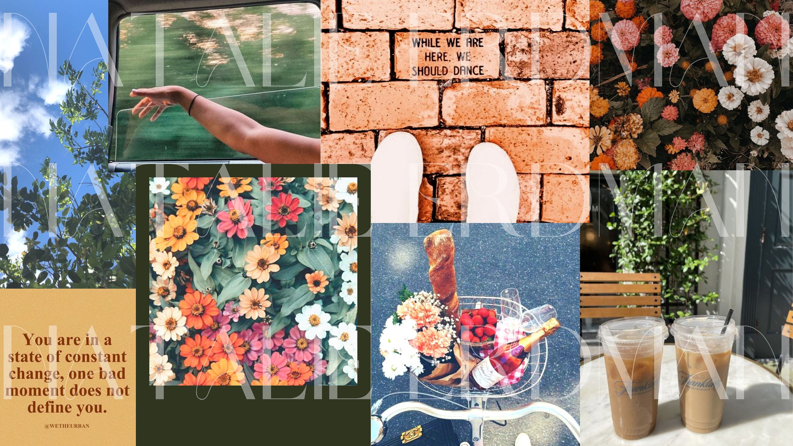 SPRING AESTHETIC WALLPAPER Desktop Laptop Flower Aesthetic MacBook