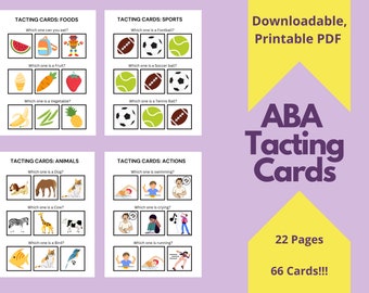 Task Cards Receptive Language WH Questions ABA Speech - Etsy Canada