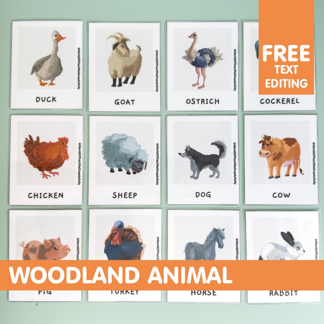 Woodland Animals Flash Cards Printable Montessori Materials Etsy