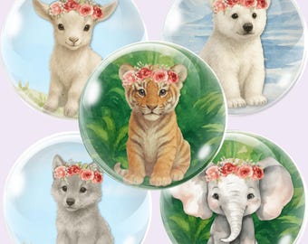 Bottle Cap Images