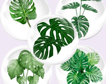Monstera Collage Sheet for Cricut, 32mm Cabochon Images, Plant Lover Craft Supply