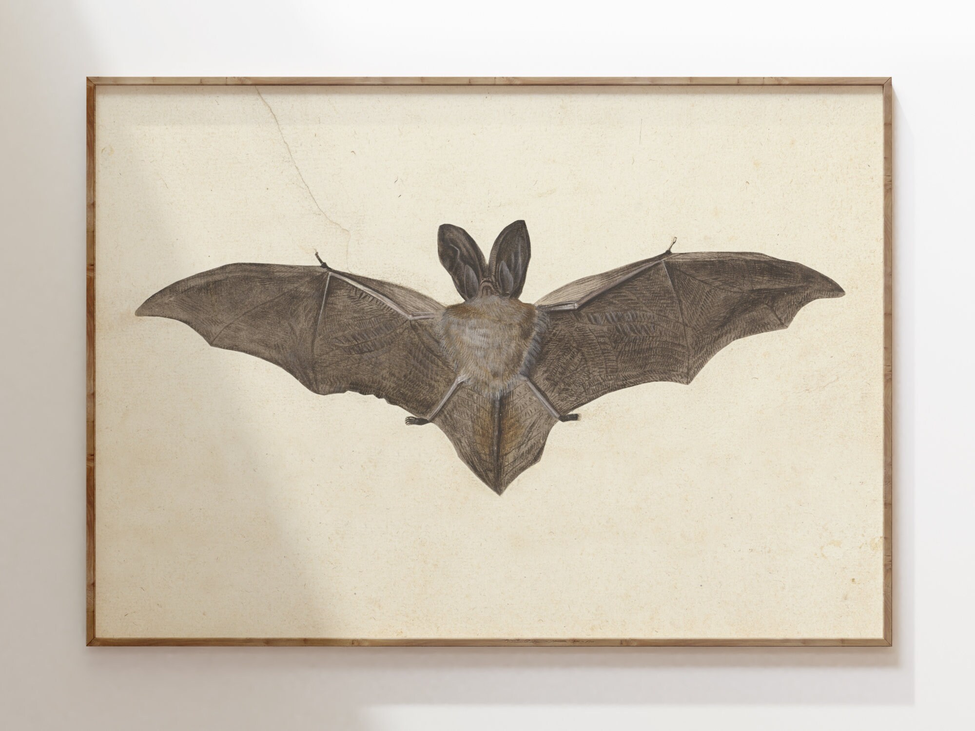 intricate prints showcase at bat print studio social... Vintage Bat Print, DOWNLOADABLE Neutral Tone Gothic Wall Art, Dark ...