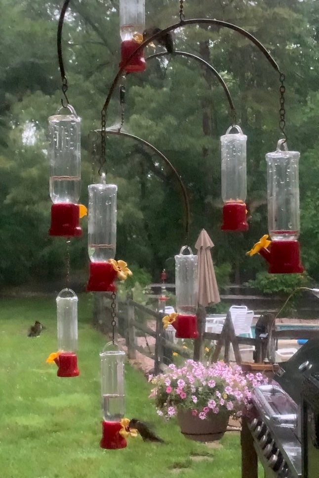 Hummingbird Feeder Mobile Eight Individual Feeders Etsy