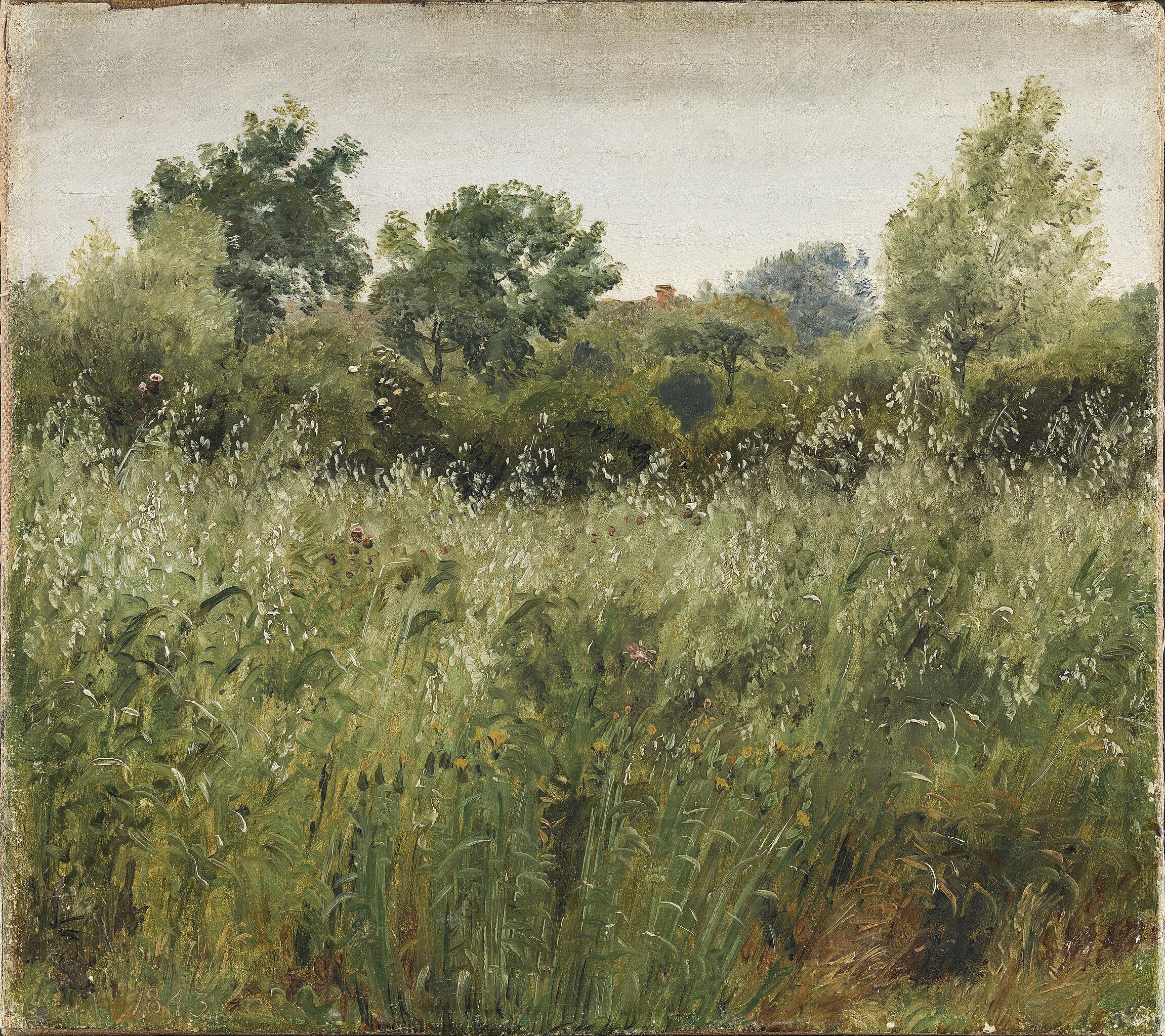 P.C. Skovgaard Field of Oats Near Vejby Poster Painting - Etsy Israel