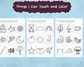 Things I Can Touch – Find & Color - Five Senses Activity | Touch vs Not Touch | ESL and Early Learners