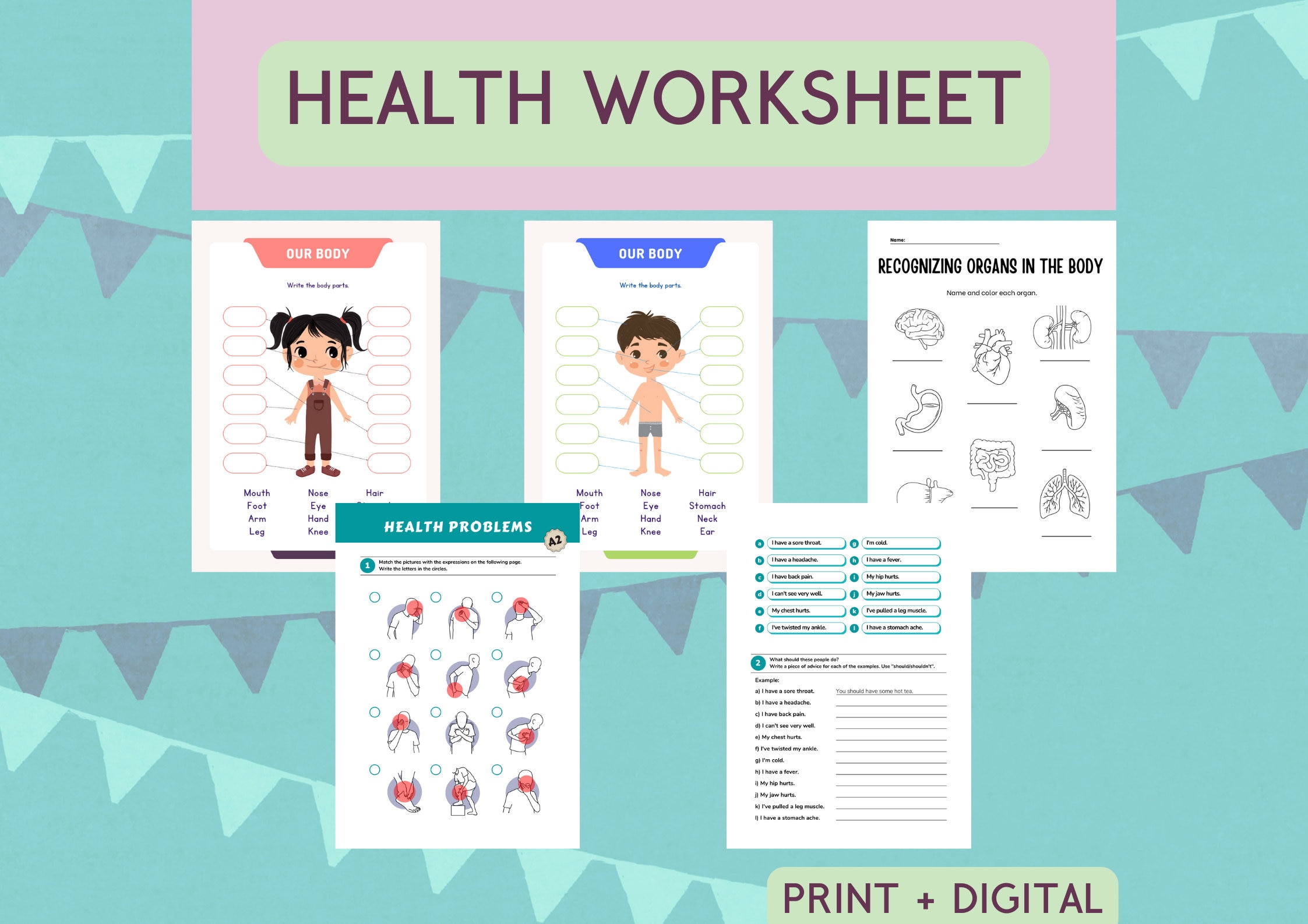 Printable First Aid Kit Worksheet, Education, Health Worksheet, English for Primary, Back to School, Life Skills, Kindergarten, Activities