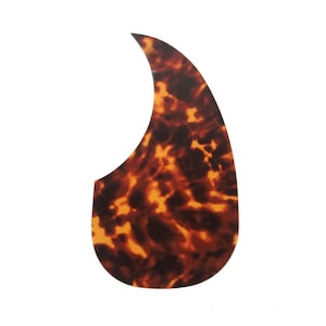 May include: A brown and orange tortoise shell guitar pick.