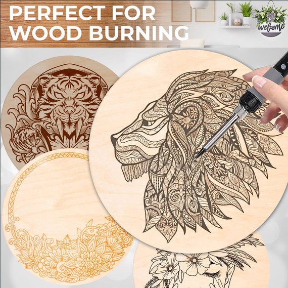 Wood Circles & Cutouts for Crafts