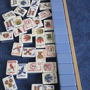 May include: A set of rectangular mahjong tiles featuring various illustrations including birds, flowers, and boots, alongside text labels like North, South, West, East, Dot, and Crak. A row of solid light blue tiles is arranged in a wooden rack.