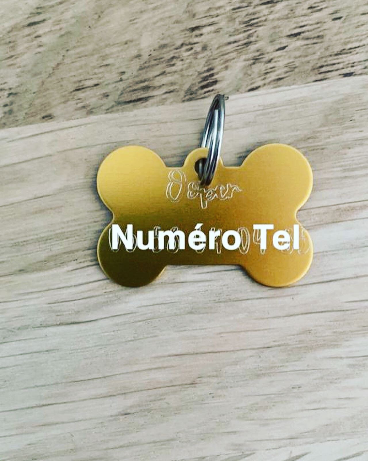 Medaille Identification Chien