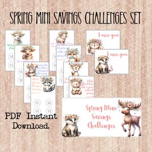 Mini Savings Challenge Set|Printable Cash Savings|Low Income Savings|Spring Savings Challenge|A6 Cash Saving Challenge|Mini Saving Challenge