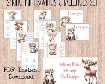 Mini Savings Challenge Set|Printable Cash Savings|Low Income Savings|Spring Savings Challenge|A6 Cash Saving Challenge|Mini Saving Challenge