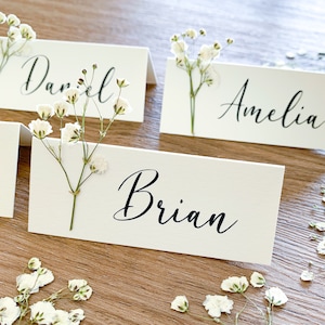 May include: White place cards with calligraphy names, "Daniel", "Amelia", and "Brian", decorated with small white flowers.
