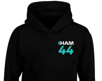 Inspires F1 Lewis Hamilton F1 Hoodie Formula One Race 2022 Mercedes AMG Petronas Hooded Sweat 44 Racing Hoody With Free Shipping