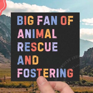 Animal Rescue Car Magnet/Sticker: Dog, Cat, Rabbit, Horse Adoption