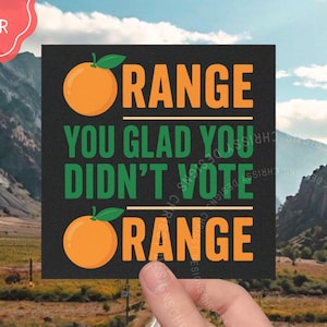 Anti Trump Car Magnet or Bumper Sticker: Political Activist Gift