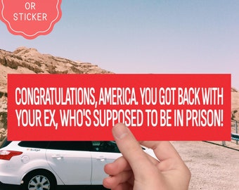 Anti-Trump Bumper Sticker or Magnet: Political Car Decal