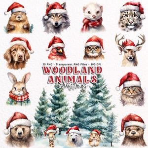 Clipart aquarelle animaux de la forêt de Noël Png, clipart animaux de la forêt mignons, hiver des bois, lot de cliparts Noël, ami de la forêt