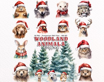 Christmas Woodland Animals Watercolor Clipart Png, Cute Woodland Animals Clipart, Winter Woodland, Christmas Clipart Bundle, Forest Friend