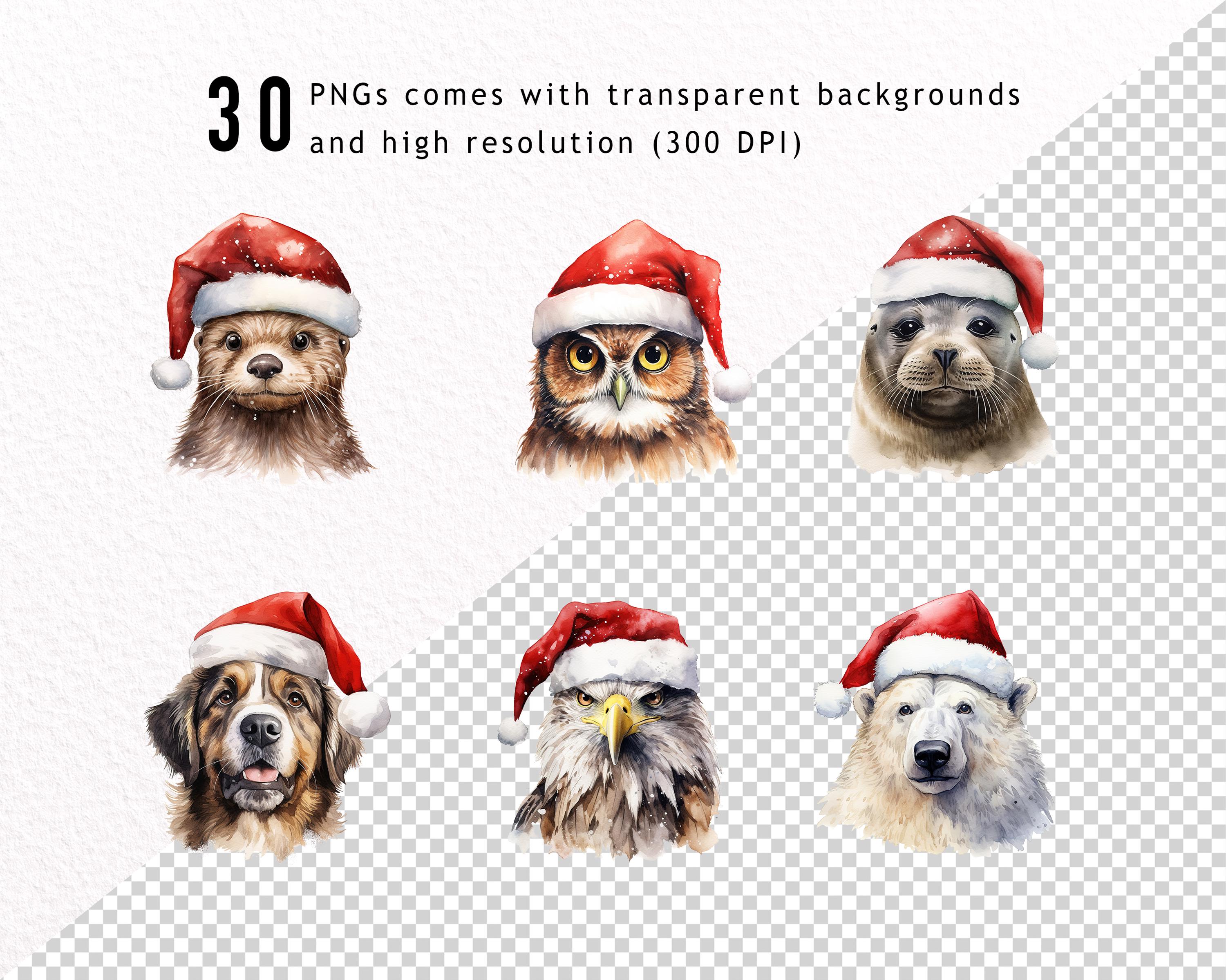 Christmas Woodland Animals Watercolor Clipart Png, Cute Woodland ...