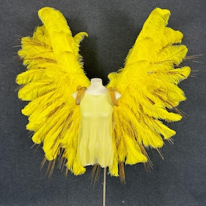 Ostrich Angel Wings Costume For Festival Carnival Parade Samba Boudoir Photography Maternity Photoshoot Model Real Feathers Cosplay