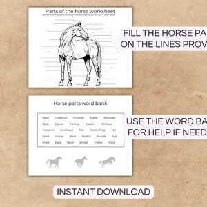 Puede incluir: Una hoja de trabajo imprimible para que los ni&ntilde;os aprendan sobre la anatom&iacute;a del caballo. La hoja de trabajo presenta un dibujo lineal de un caballo con l&iacute;neas en blanco para etiquetar diferentes partes del caballo. Se proporciona un banco de palabras con los nombres de las partes del caballo. El texto "RELLENA LAS PARTES DEL CABALLO EN LAS L&Iacute;NEAS PROPORCIONADAS" y "USA EL BANCO DE PALABRAS PARA AYUDA SI ES NECESARIO" est&aacute; incluido en la hoja de trabajo.