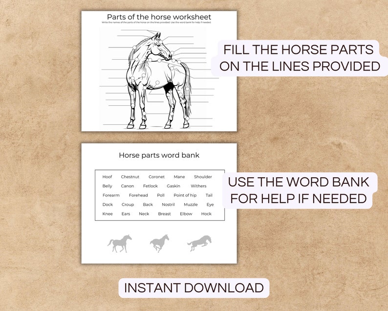 Puede incluir: Una hoja de trabajo imprimible para que los ni&ntilde;os aprendan sobre la anatom&iacute;a del caballo. La hoja de trabajo presenta un dibujo lineal de un caballo con l&iacute;neas en blanco para etiquetar diferentes partes del caballo. Se proporciona un banco de palabras con los nombres de las partes del caballo. El texto "RELLENA LAS PARTES DEL CABALLO EN LAS L&Iacute;NEAS PROPORCIONADAS" y "USA EL BANCO DE PALABRAS PARA AYUDA SI ES NECESARIO" est&aacute; incluido en la hoja de trabajo.