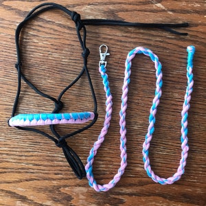 Rope halter and lead rope for hobby horse pink blue, hobby horse tack