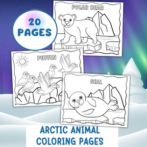 Puede incluir: Un conjunto de 20 páginas para colorear de animales árticos. Las páginas presentan ilustraciones de un oso polar, frailecillos y una foca. El texto "Páginas para colorear de animales árticos" se muestra en la parte inferior, con "20 páginas" en un círculo en la parte superior.