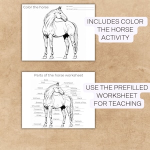 Puede incluir: Un dibujo en blanco y negro de un caballo con etiquetas para las diferentes partes de la anatomie del caballo. La imagen incluye el texto "Parts of the horse worksheet".